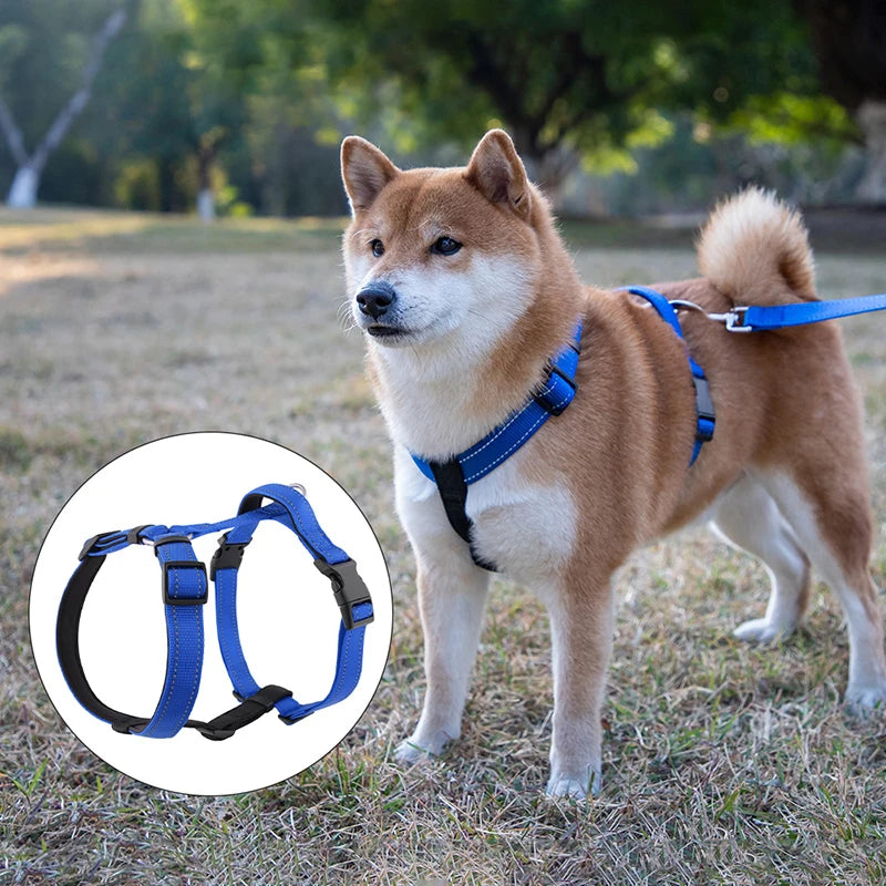 Harnais chien anti traction en y avec un chien le portant 