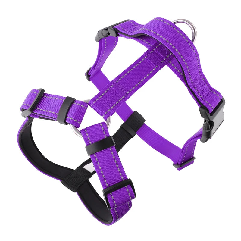 Harnais chien anti traction en y violet