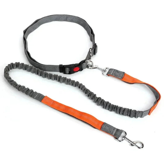 laisse mains libres  pour chien de couleurs gris et orange parfait pour courir avec votre chien. Image produit Boutiquechien