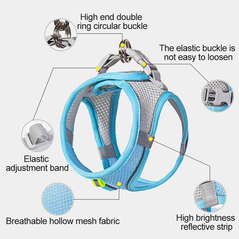 Harnais chien curli avantages produits 