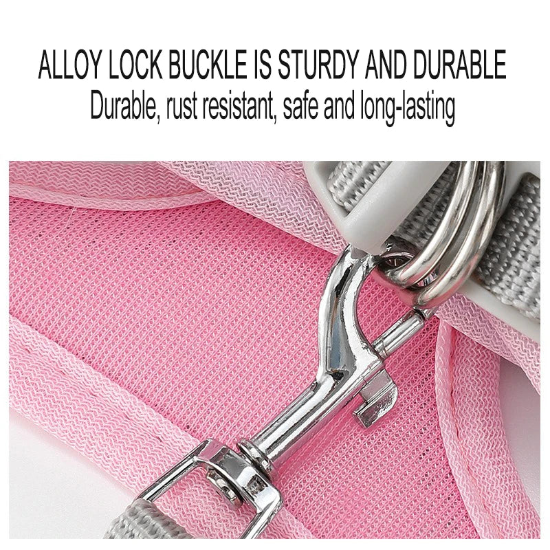 Harnais chien curli mousqueton 