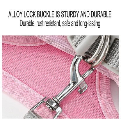 Harnais chien curli mousqueton 