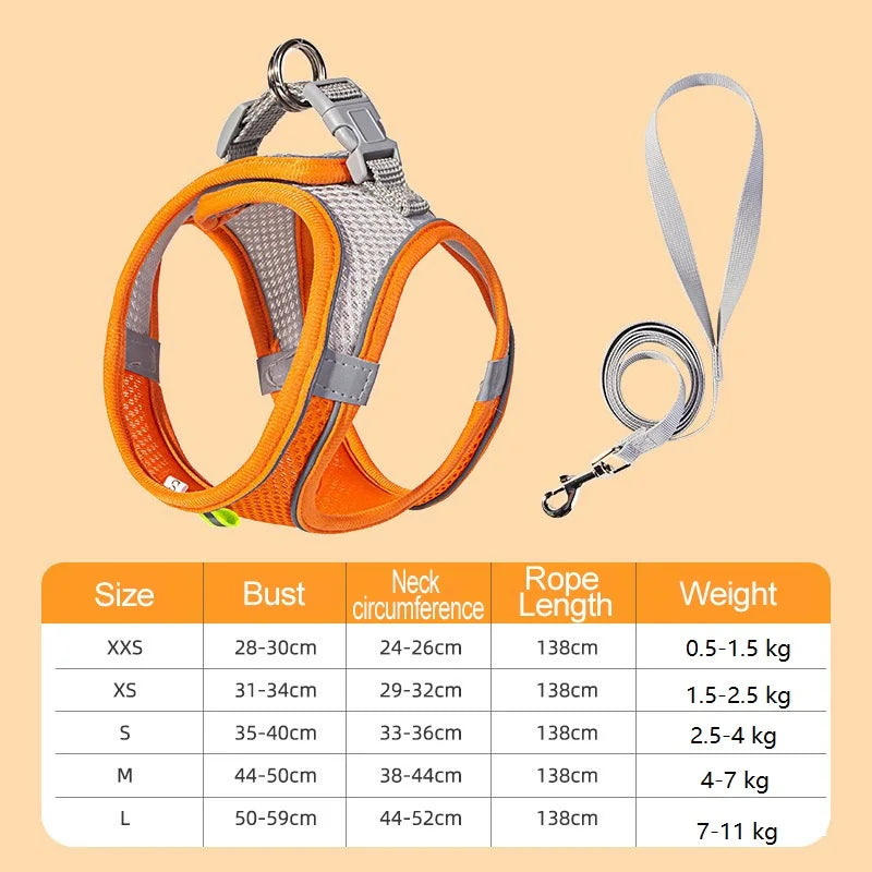 Harnais chien curli dimensions orange 