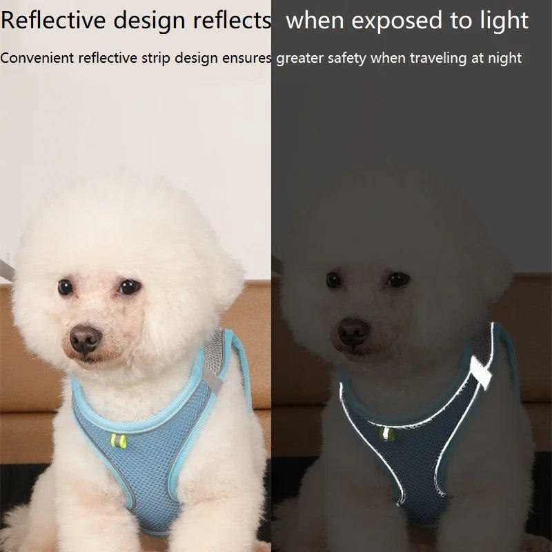 Harnais chien curli reflechissant  Image