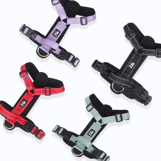 Harnais pour chien de plusieurs couleurs de couleurs différentes. Image produit Boutiquechien