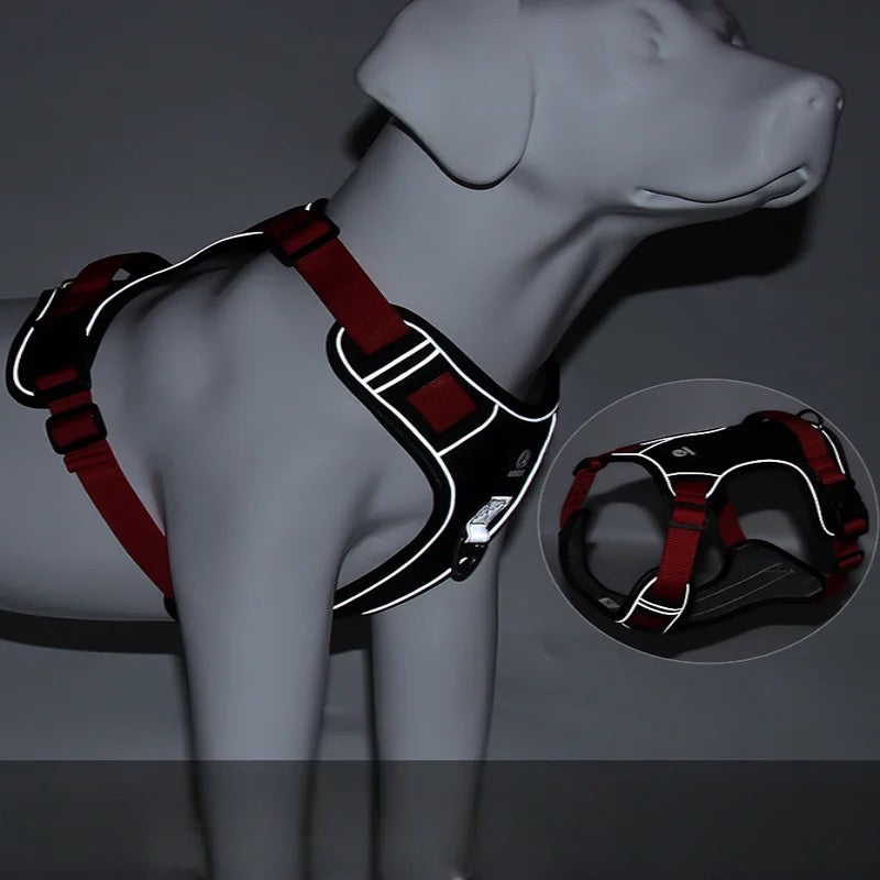 Harnais chien réfléchissant de couleur rouge et noir sur un chien en plastique. L'image est faites dans le noir pour montrer le côté réfléchissant du harnais chien. Image produit Boutiquechien