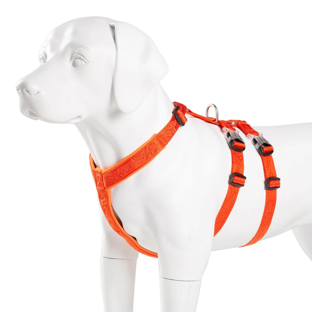 Harnais chien de traineau sur un mannequin chien blanc  Image