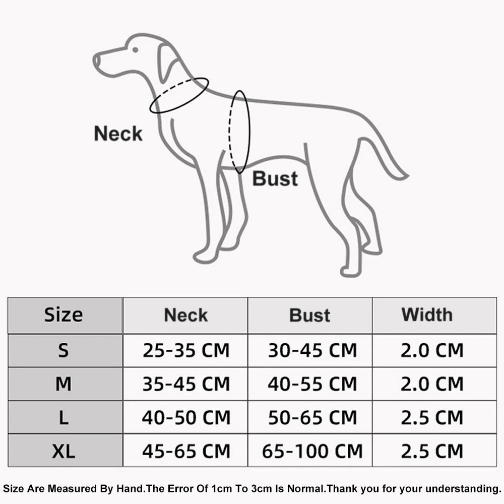 Harnais chien en h dimensions 