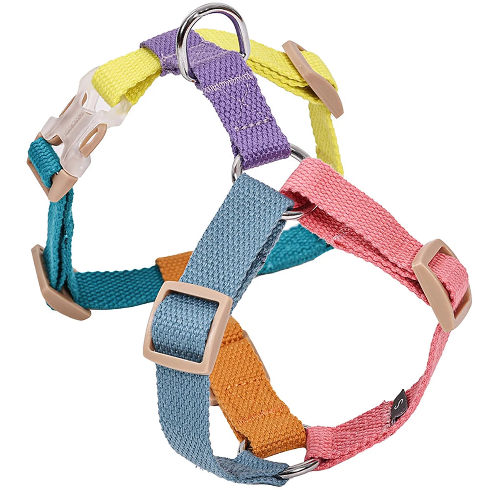Harnais chien en h colorer