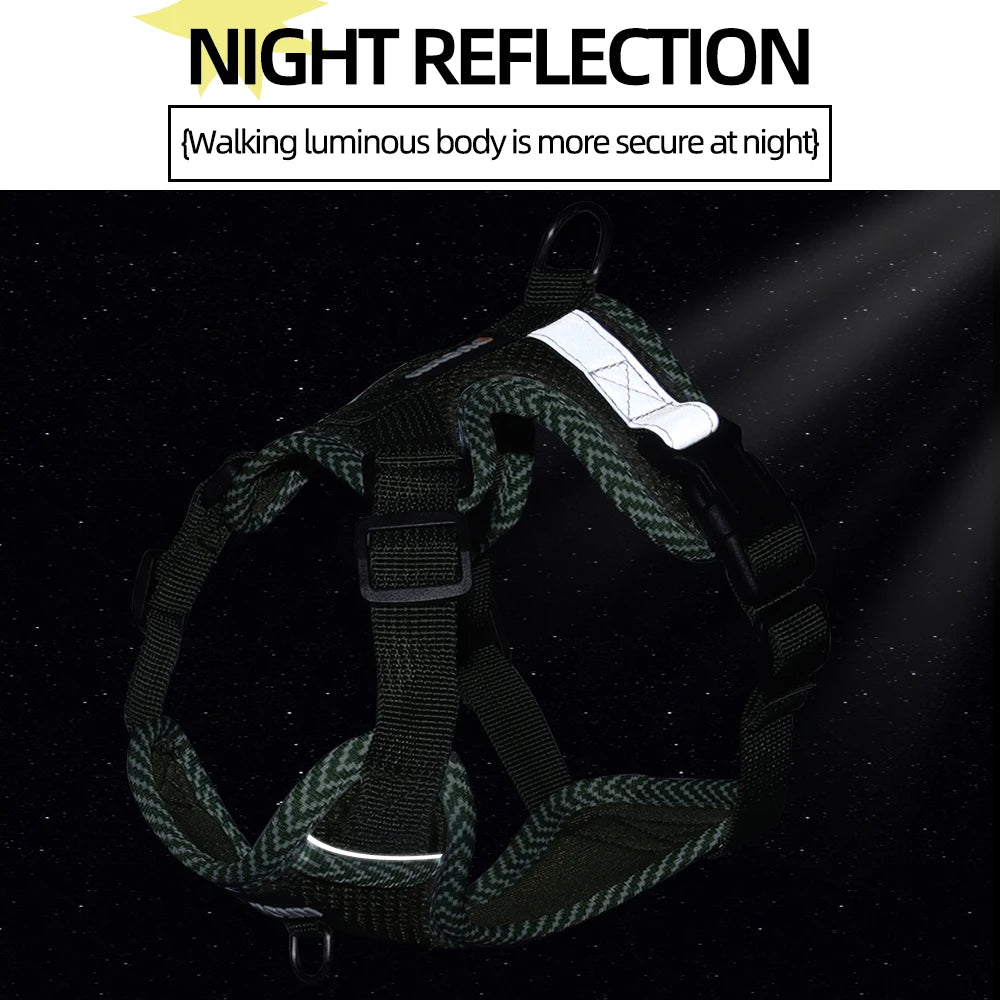 Harnais chien petite taille reflechissant