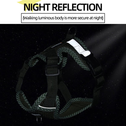 Harnais chien petite taille reflechissant