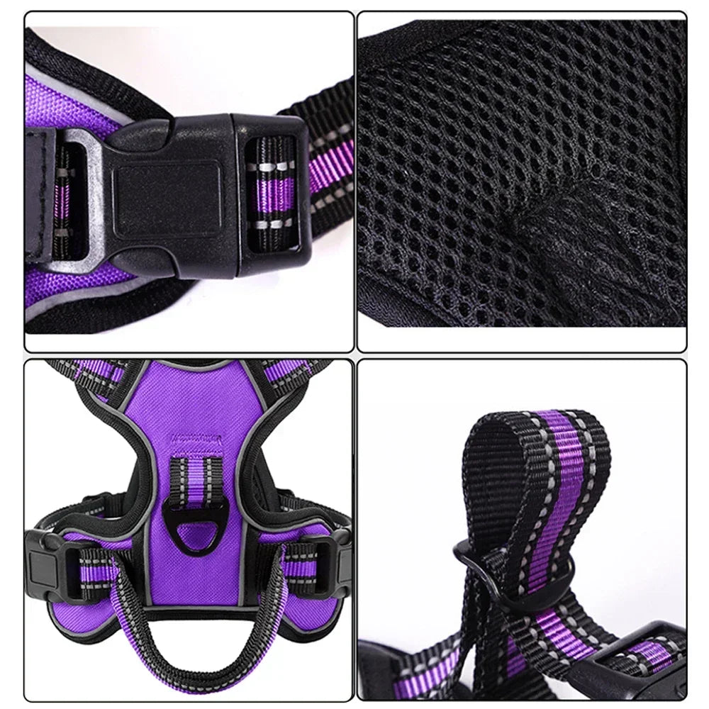 Harnais chien respirant de couleur violet avec respiration intégré. Image produit Boutiquechien