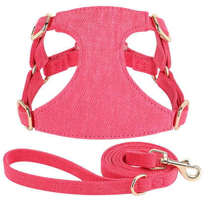 Harnais petit chien de couleur rose durable et résistant avec laisse pour chien durable et résistant pour chien. Image produit Boutiquechien 