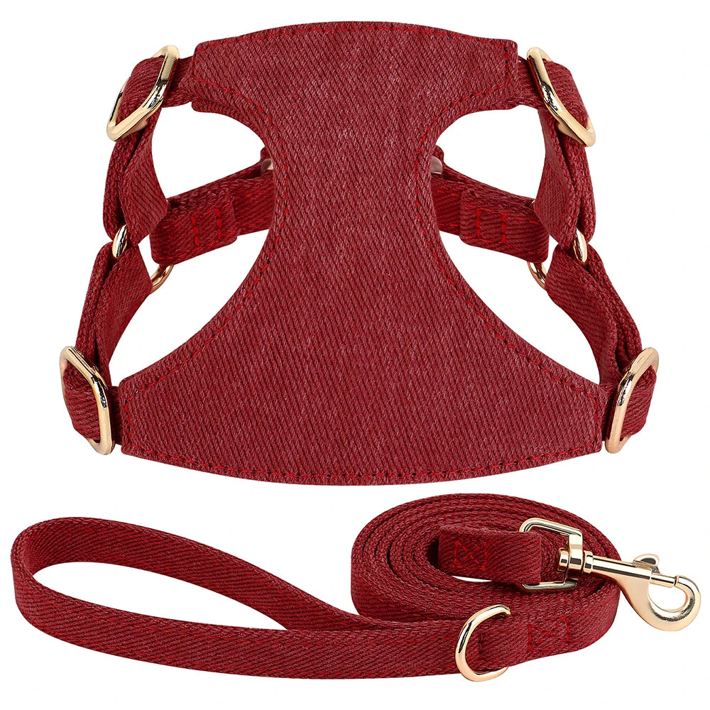 Harnais petit chien de couleur rouge durable et résistant avec laisse pour chien durable et résistant pour chien. Image produit Boutiquechien 