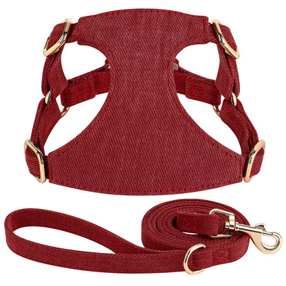 Harnais petit chien de couleur rouge durable et résistant avec laisse pour chien durable et résistant pour chien. Image produit Boutiquechien 