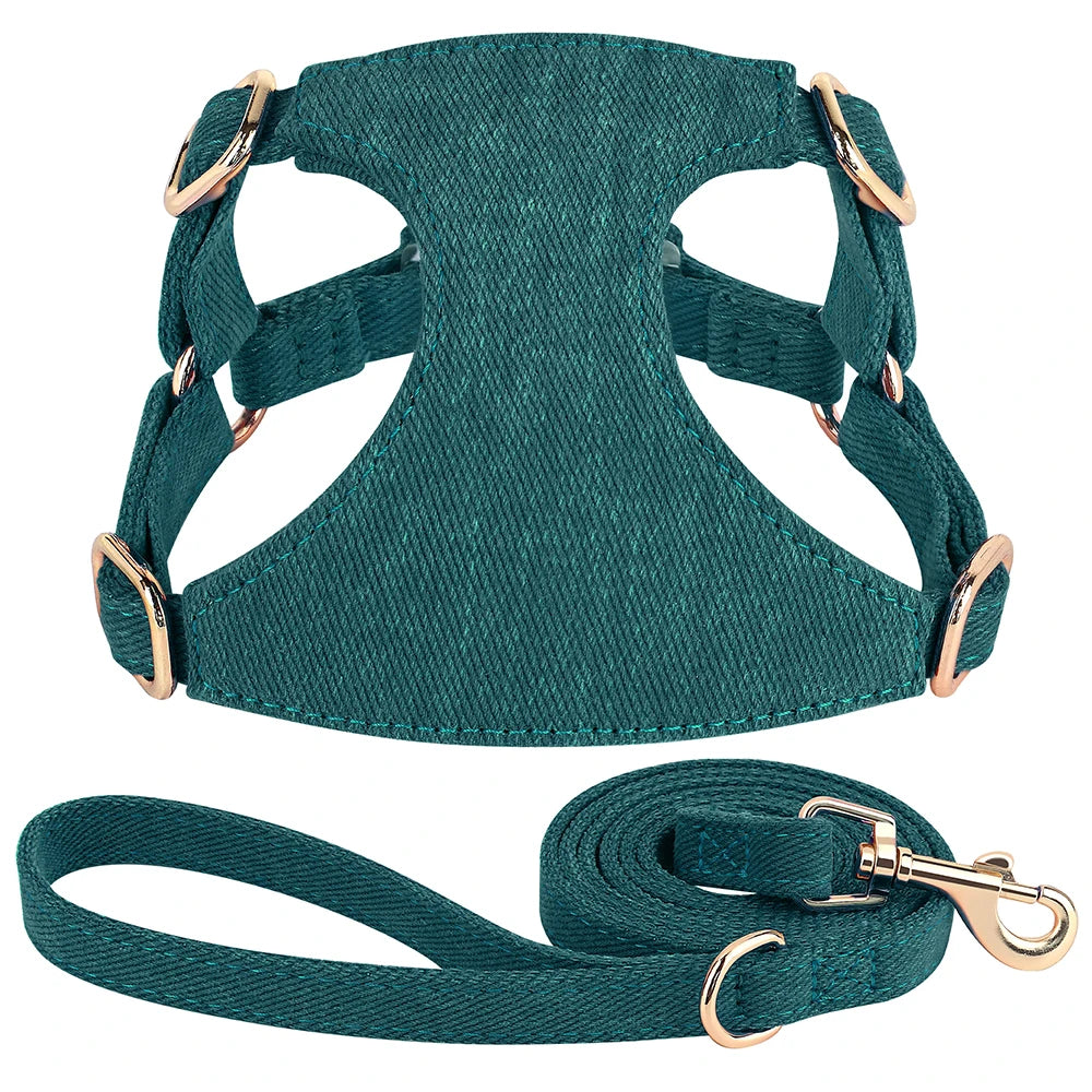 Harnais petit chien de couleur vert durable et résistant avec laisse pour chien durable et résistant pour chien. Image produit Boutiquechien 