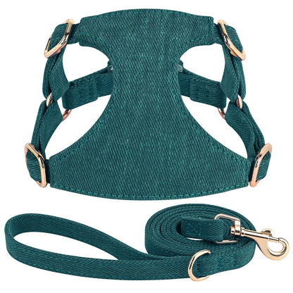 Harnais petit chien de couleur vert durable et résistant avec laisse pour chien durable et résistant pour chien. Image produit Boutiquechien 