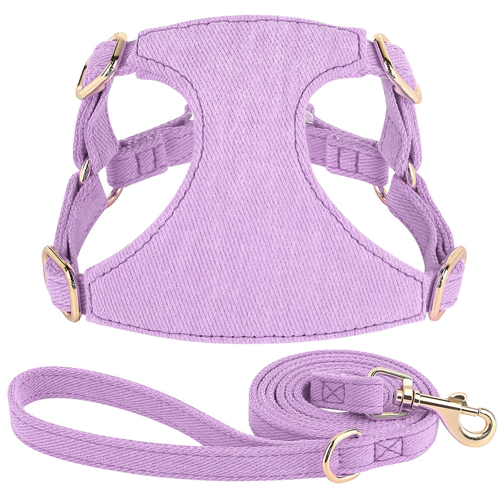 Harnais petit chien de couleur violet durable et résistant avec laisse pour chien durable et résistant pour chien. Image produit Boutiquechien 