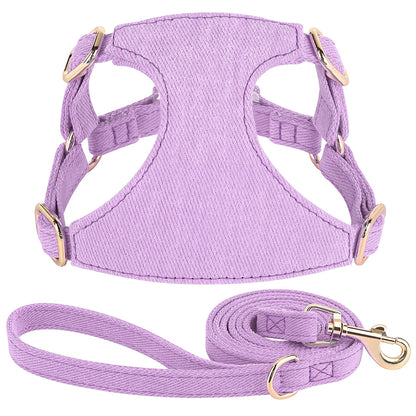 Harnais petit chien de couleur violet durable et résistant avec laisse pour chien durable et résistant pour chien. Image produit Boutiquechien 