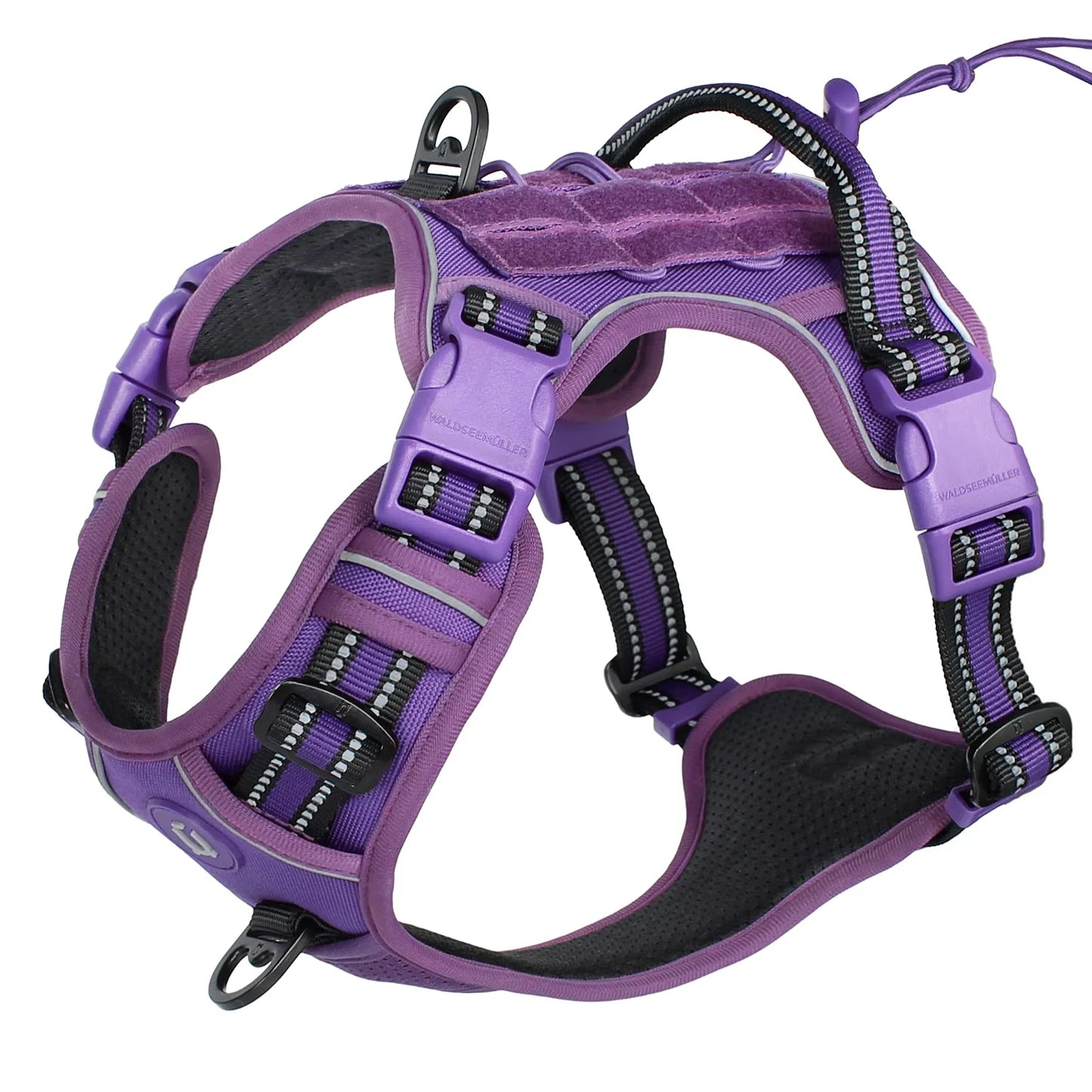 Harnais pour chien de couleur violet tactique et résistant. Image produit Boutiquechien