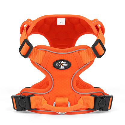 Harnais chien pour voiture de couleur orange et noir de boutiquechien