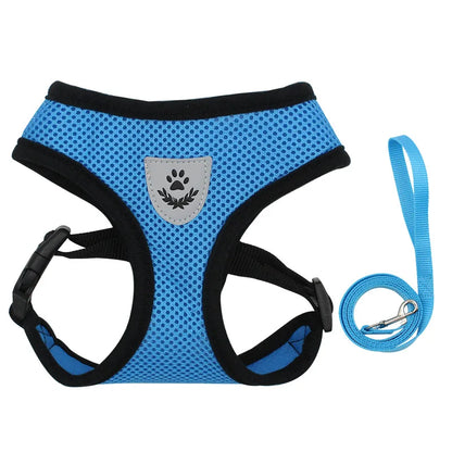 Harnais pour chien en nylon respirant de couleur bleu claire avec laisse assortie. Image produit Boutiquechien 