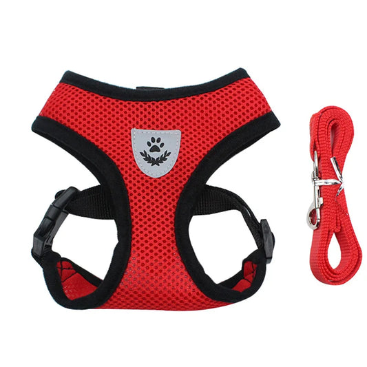 Harnais pour chien en nylon respirant de couleur rouge avec laisse assortie. Image produit Boutiquechien 