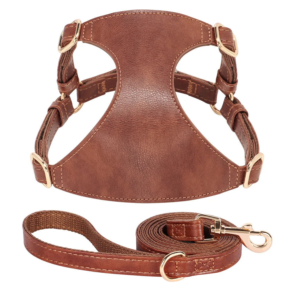 Harnais petit chien brun en cuir résistant et durable avec une laisse pour chien accordé au harnais. Image produit Boutiquechien 