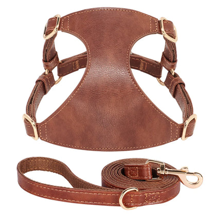 Harnais petit chien brun en cuir résistant et durable avec une laisse pour chien accordé au harnais. Image produit Boutiquechien 