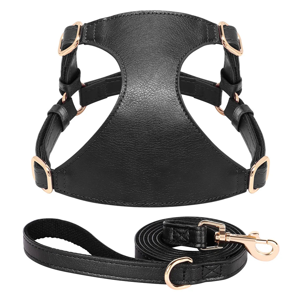 Harnais petit chien noir en cuir résistant et durable avec une laisse pour chien accordé au harnais. Image produit Boutiquechien 