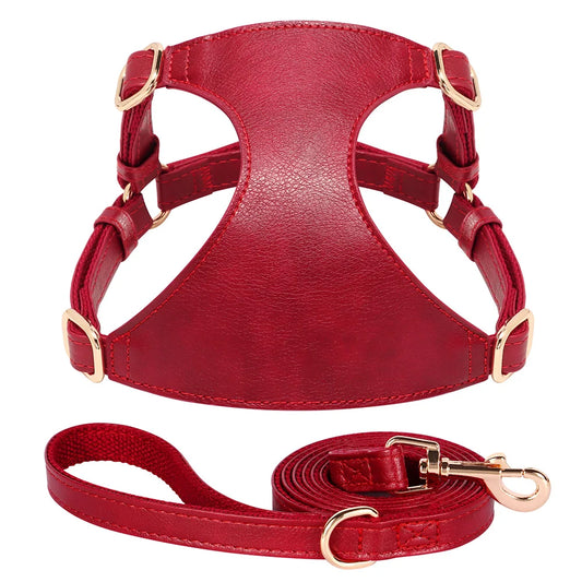 Harnais petit chien rouge en cuir résistant et durable avec une laisse pour chien accordé au harnais. Image produit Boutiquechien 