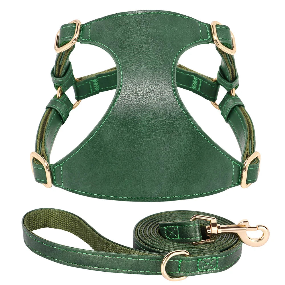 Harnais petit chien vert en cuir résistant et durable avec une laisse pour chien accordé au harnais. Image produit Boutiquechien 