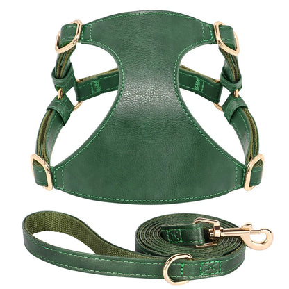 Harnais petit chien vert en cuir résistant et durable avec une laisse pour chien accordé au harnais. Image produit Boutiquechien 