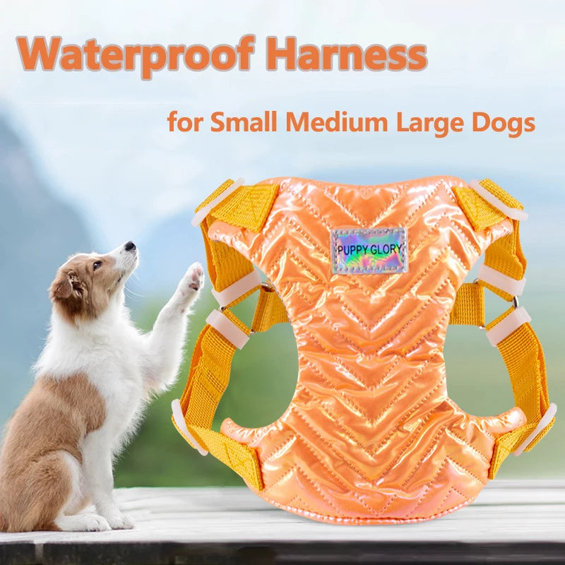 Harnais chiot 4 mois waterproof Image