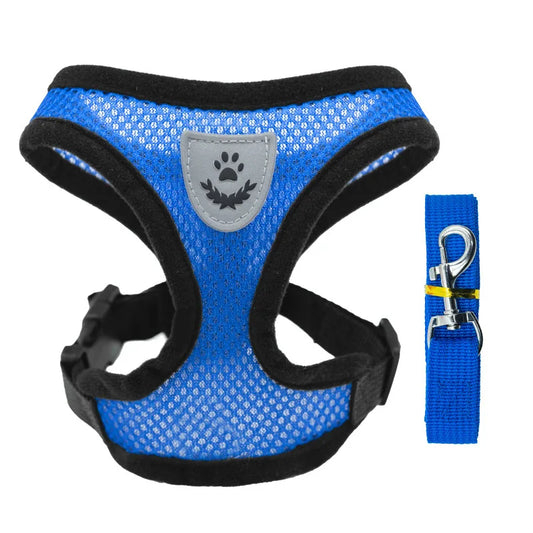 petit harnais avec laisse pour chiot de couleur bleu assortie fait en nylon. Image produit Boutiquechien