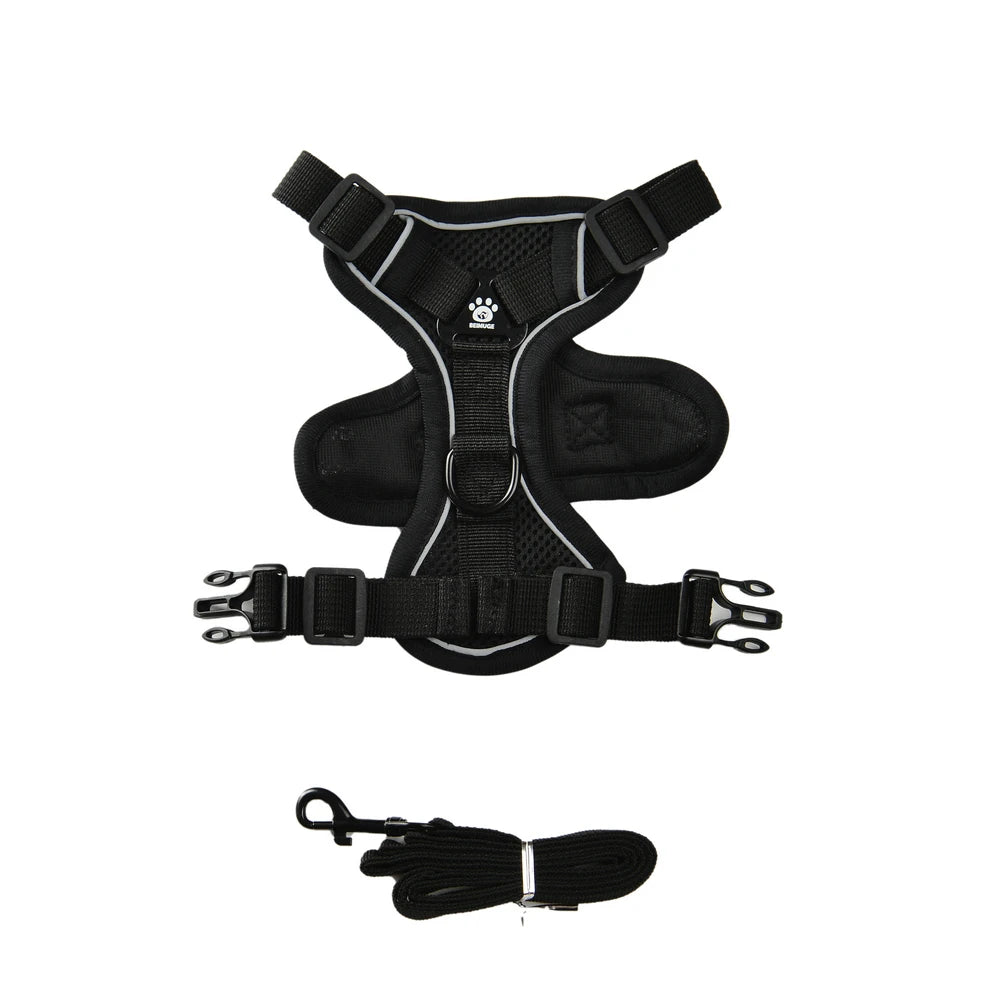 Harnais chihuahua de couleur noir avec laisse assortie. Image produit Boutiquechien