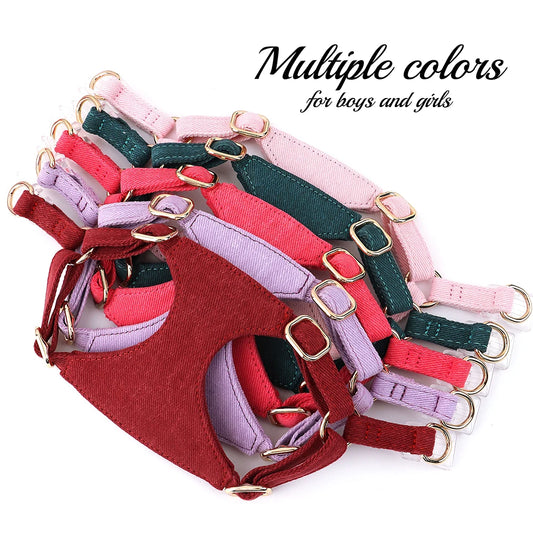 Plusieurs couleurs pour petit harnais chien durable. Image produit Boutiquechien 