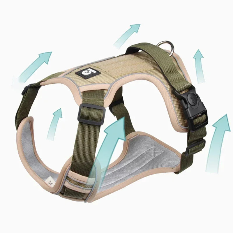 Harnais chiot en y beige