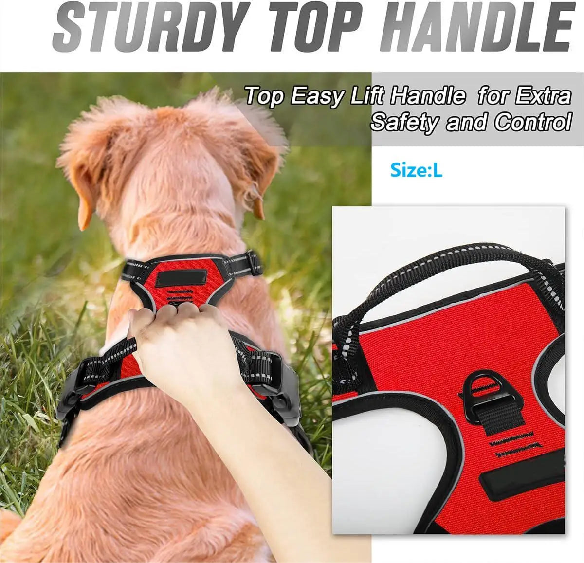 Harnais chiot bouledogue français attache Image