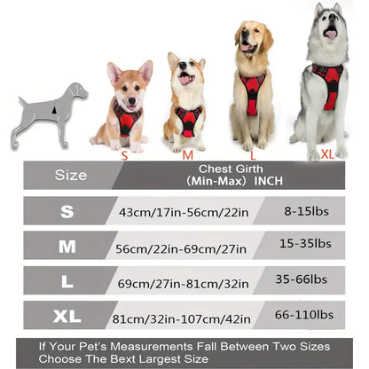 Harnais chiot husky dimensions