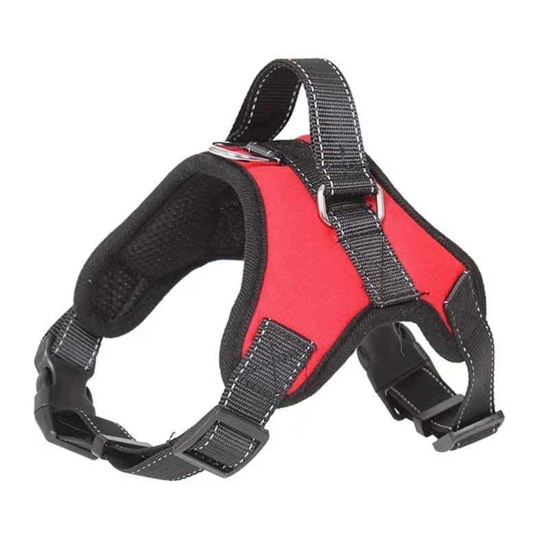 Harnais chiot teckel de couleur rouge et noir avec une poignée noir