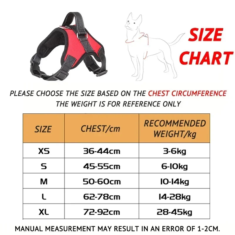 tableau du Harnais chiot teckel de XS à XL