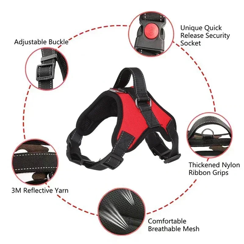 Harnais chiot teckel de couleur rouge et noir avec toutes les qualités du produit 