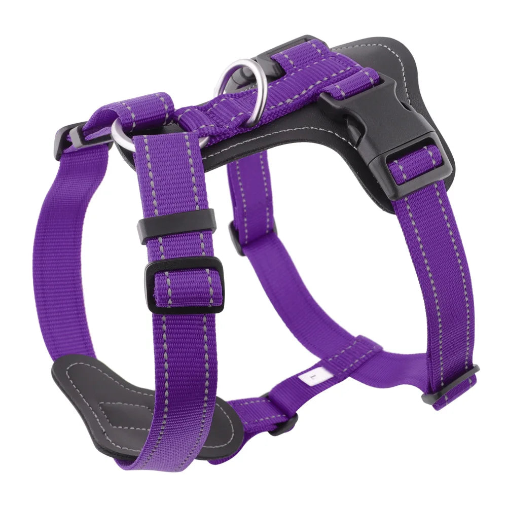 Harnais cuir pour gros chien de couleur violet et noir de boutiquechien