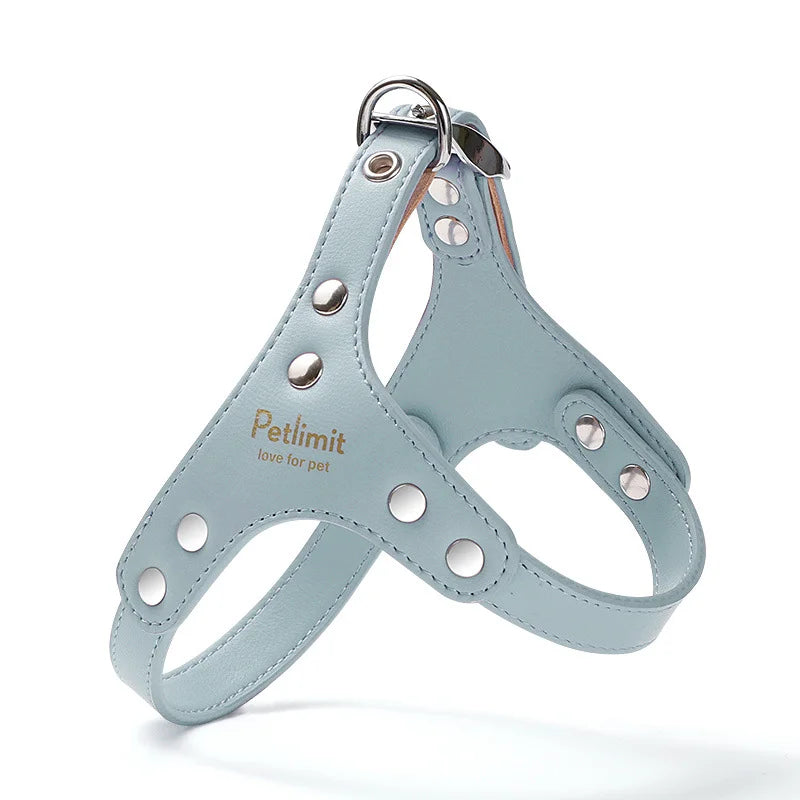 Harnais de luxe pour petit chien de couleur bleu style cuir. Image produit Boutiquechien