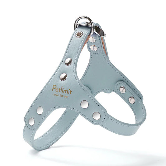 Harnais de luxe pour petit chien de couleur bleu style cuir. Image produit Boutiquechien