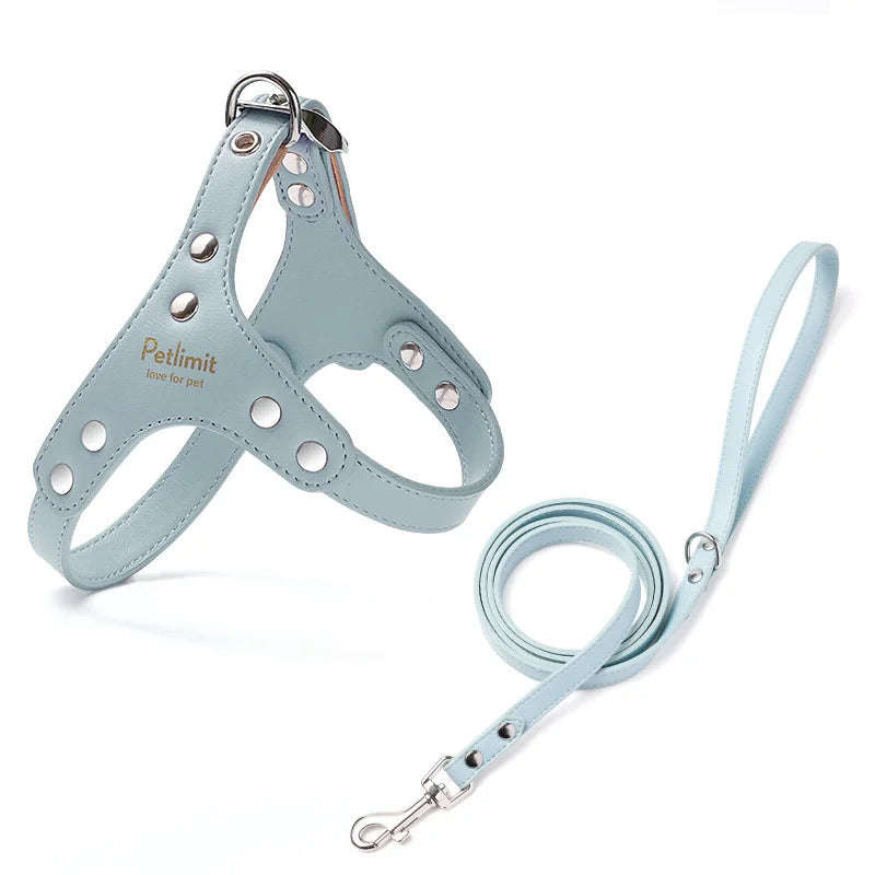 Harnais de luxe pour petit chien de couleur bleu en bleu de boutiquechien