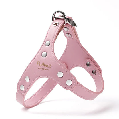 Harnais de luxe pour petit chien de couleur rose et gris de boutiquechien