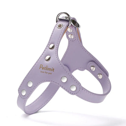 Harnais de luxe pour petit chien de couleur gris et violet de boutiquechien