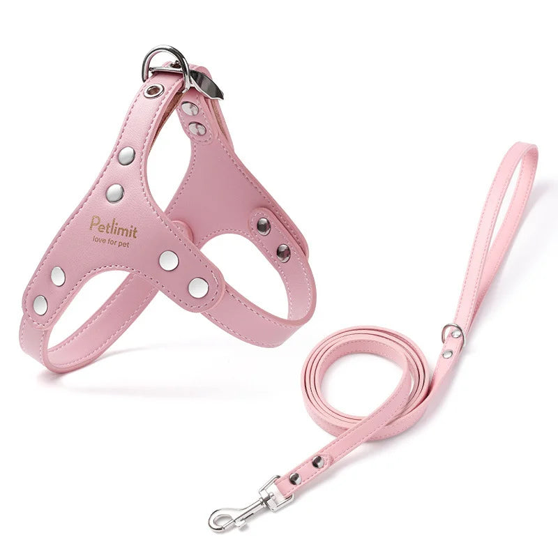 Harnais de luxe pour petit chien en lot de couleur rose. Image produit Boutiquechien